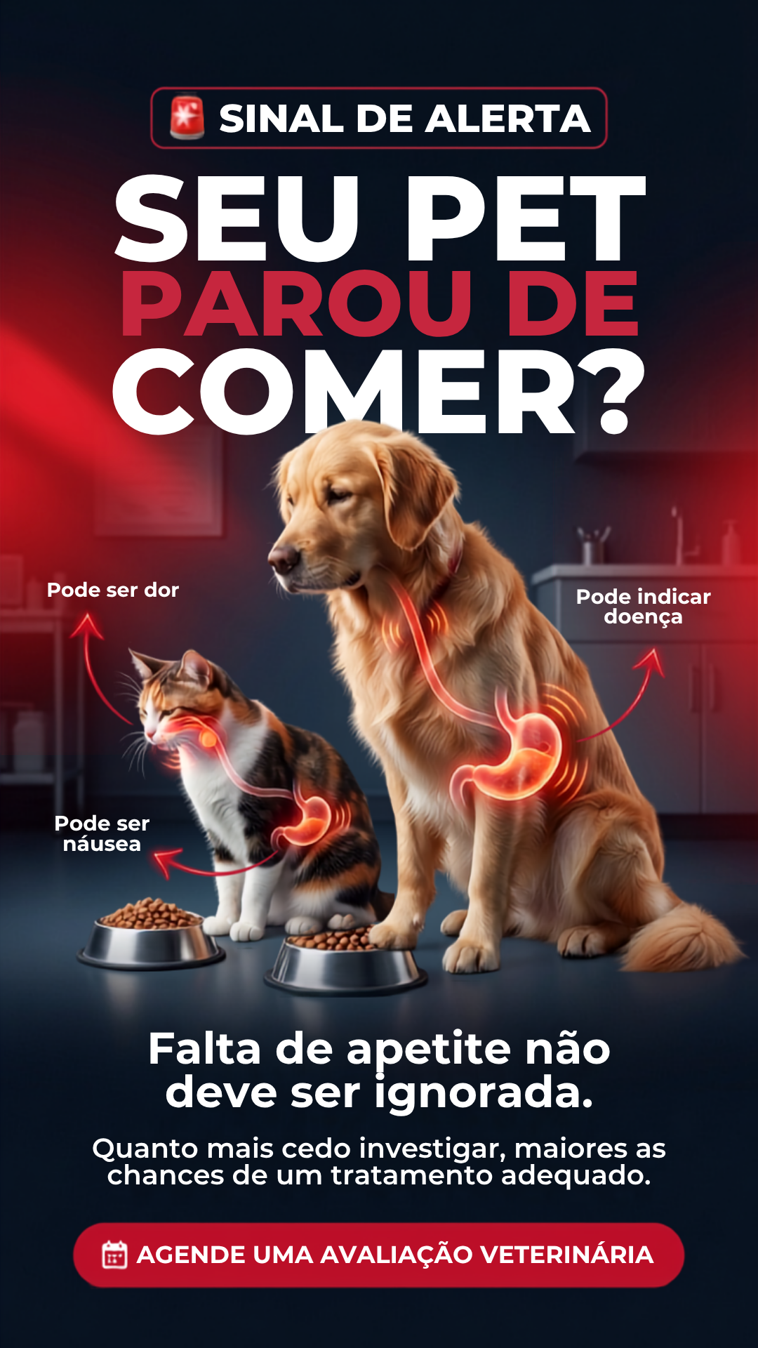 Story veterinária 2