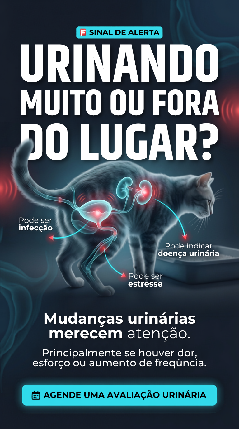 Story veterinária 3