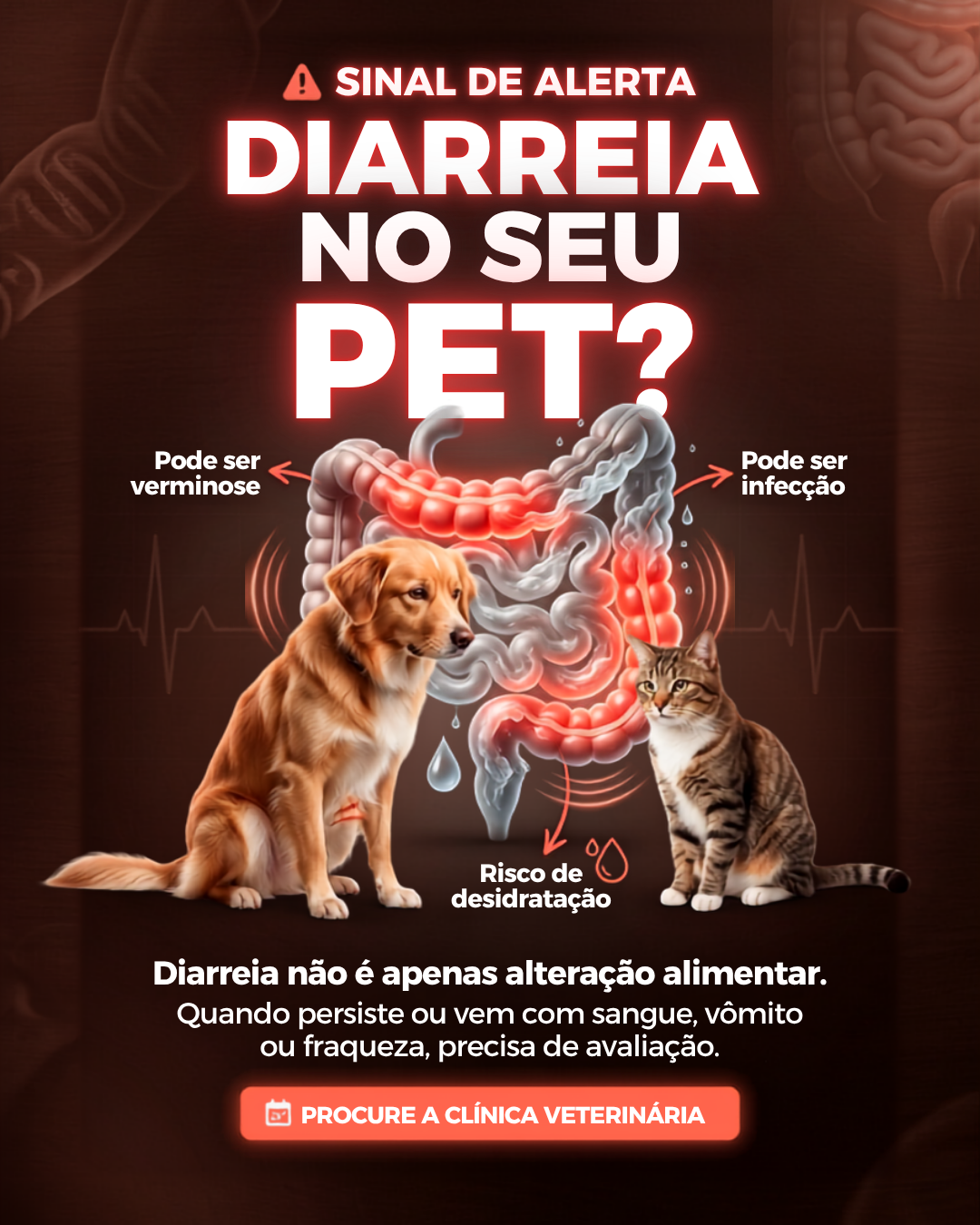 Arte de feed veterinária 6