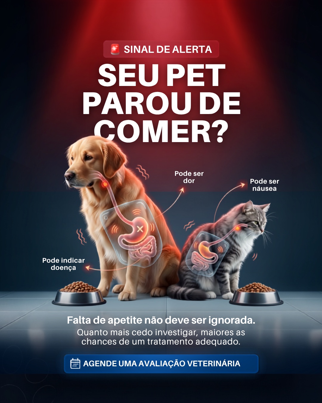 Arte de feed veterinária 5