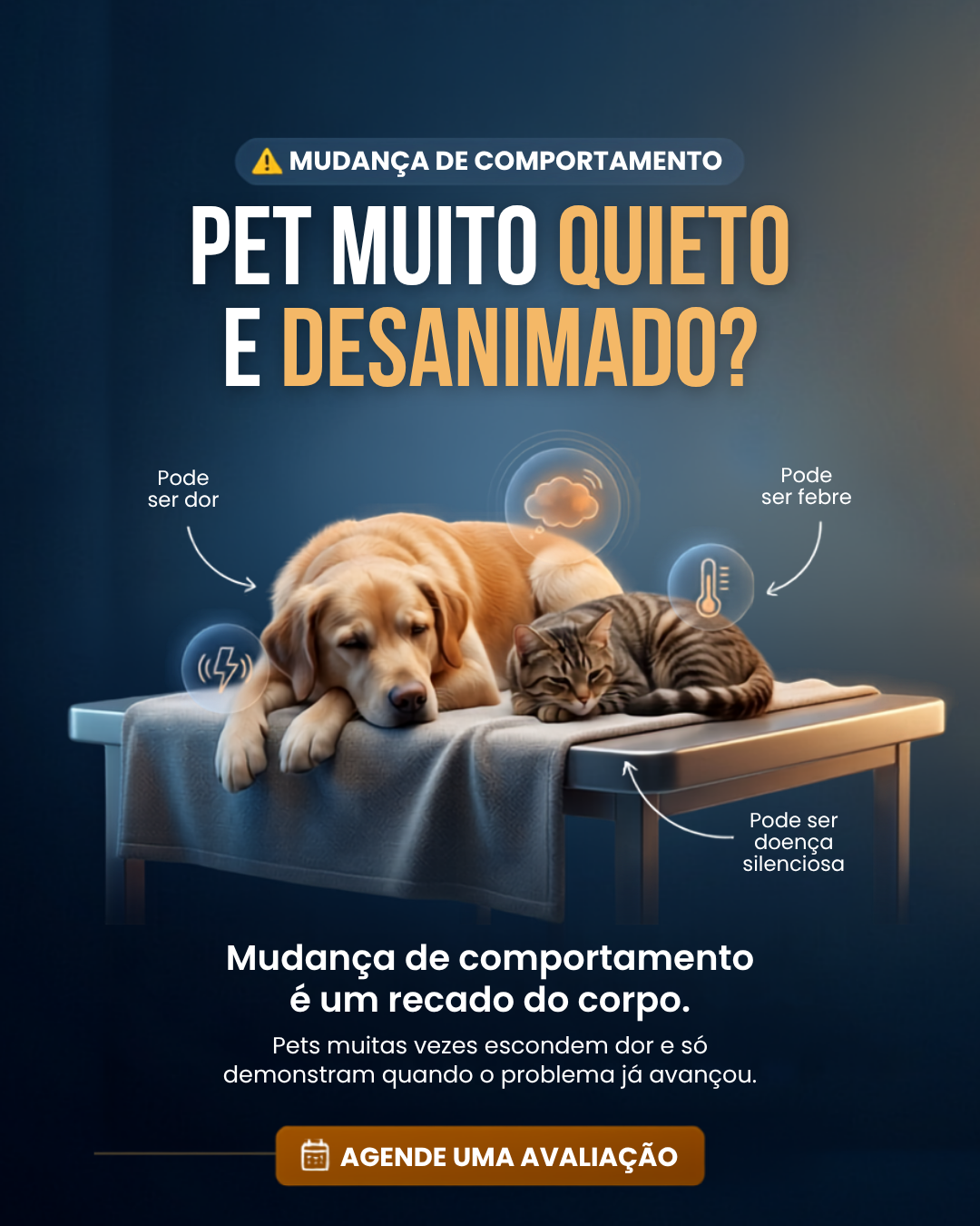 Arte de feed veterinária 4