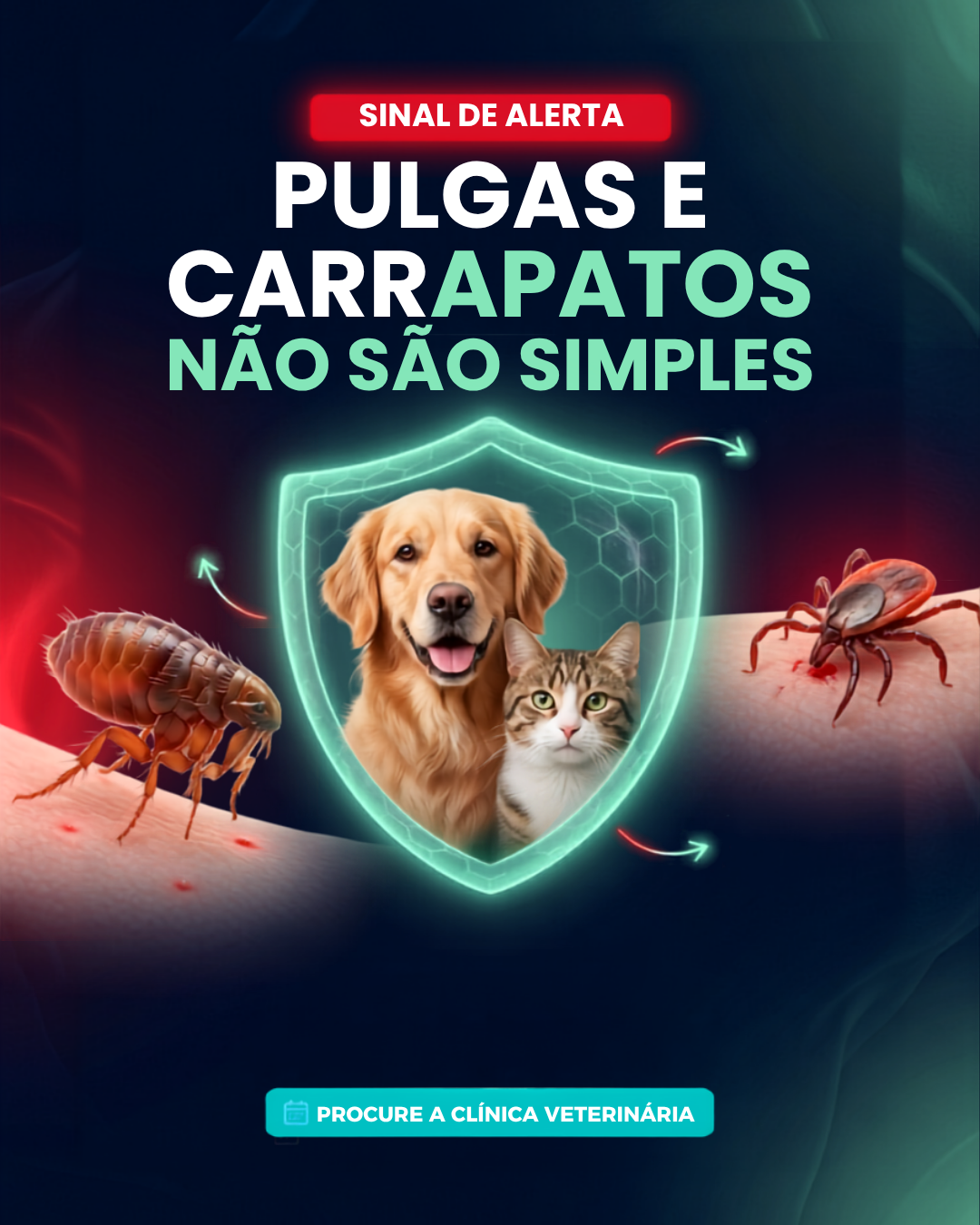 Arte de feed veterinária 3