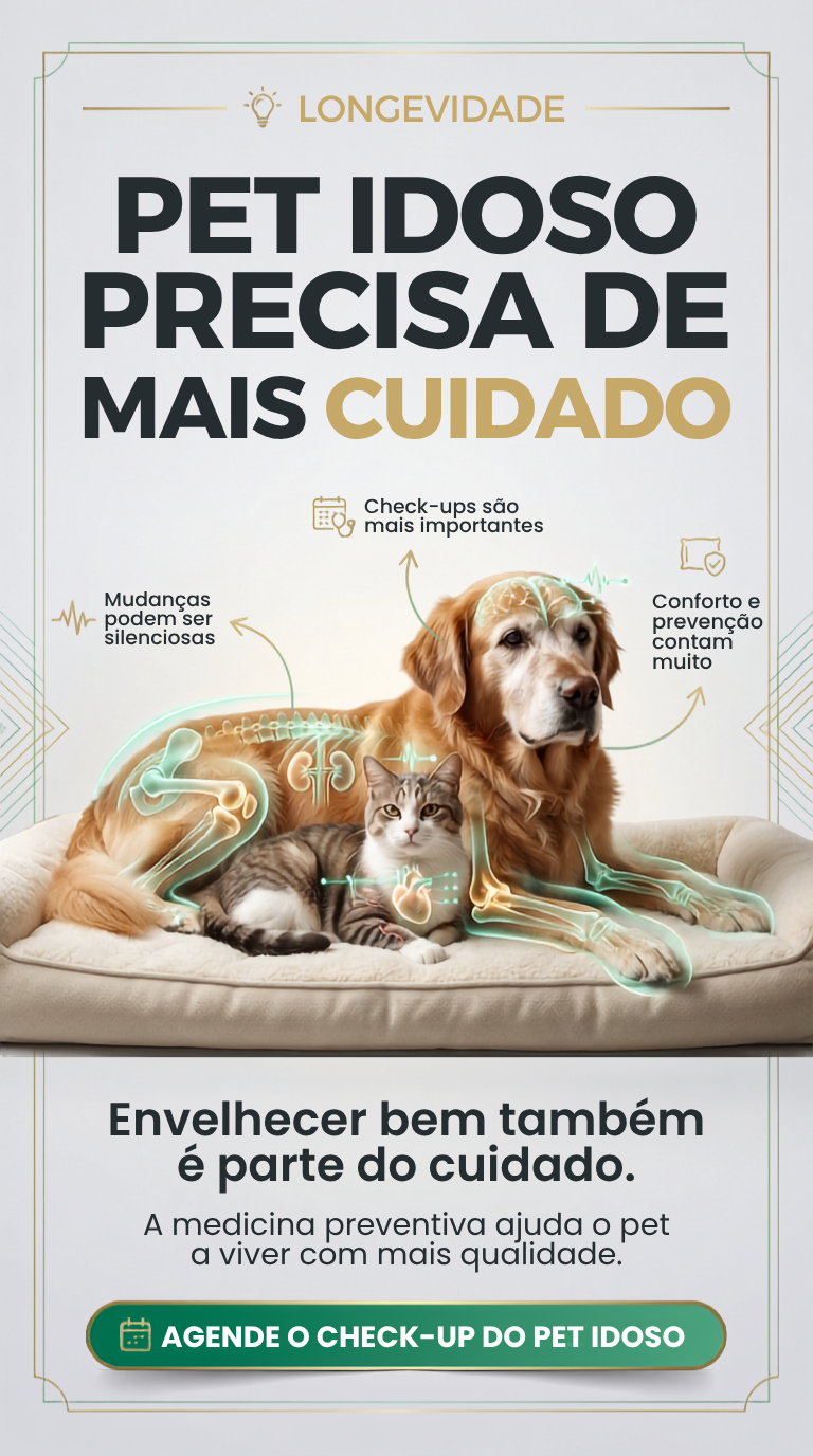 Story veterinária 4